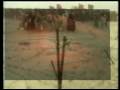 videos de masira khdra storm-jaw elhajeb