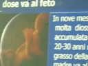 ponticelli conferenza di paul connet no inceneritore napoli est - parte 3