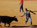 Encierros de Cuellar