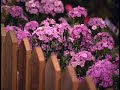 Southeastern Flower Show