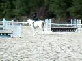 PHJA Year End Show--Long Stirrup O/F 2ft A