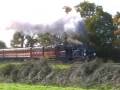 Linesiding - Terrier 32678 Knowle at the Bluebell Railway.wmv