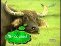 Jasmin Trias in Extra Challenge Promdi epi.3 part2