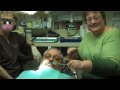 Patient Examines Her Dentist - Sedation Dentist Dr. Fred Hecht in Staten Island