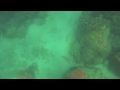 The Hunt for Hogfish 2011