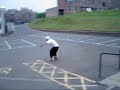 Arbroath rolling edit - June 2004