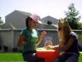 videos de Animal Crackers part 1 :]
