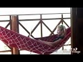 The WindVillage - Ilha do Guajiru - Brazil