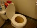 videos de Disgusting Plugged Toilet (3)