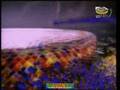 El nou Camp Nou