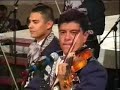 mariachi internacional guadalajara violin gitano