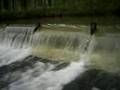 Baños de la Peña - Río Valdavia - Primav.08