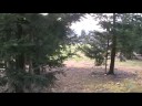 ITEX Part 5 ITEX Part 5