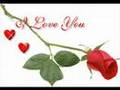 Have You Ever Been In Love - Peter Cetera