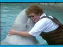 Mystic Aquarium Institute For Exploration