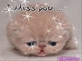 videos para los amigos