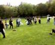 Kelvingrove Park Pillow Fight