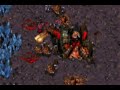 starcraft starcraft