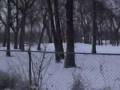 videos de JED at Wicker, Dec. 2, 2008.wmv