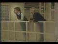 The City starring Morgan Fairchild