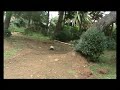 Tamiya Bear Hawk fisrt run