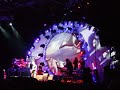 the australian pink floyd show   another brick in the wall