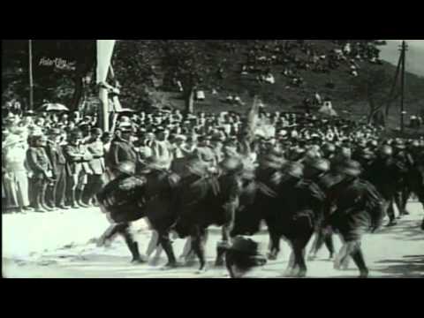 Die NSDAP - Hitlers politische Bewegung / Reportage ...