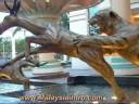 Sunway Pyramid Sunway Lagoon Petaling Jaya 11