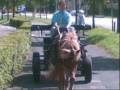 Lenny en Tracy_0001.wmv