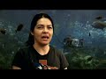 LBCC 2008 MATE ROV VIDEO