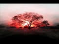 Alaska - Living Aura