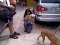 El poderoso Rocky