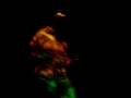 videos de MOV00959.AVI