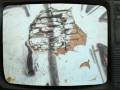 videos de Transmisión GrafAnimation web version