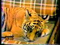 uffi e teresa telecapri  retecapri tv locali anni 80