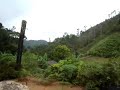Sert�o