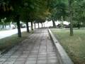 videos de Koleca_side flip