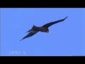 Kites Music Video