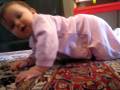 videos de 7 3/4 months old
