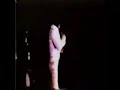 If you love me let me know (rare) elvis
