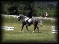 Wildwych Eclipse