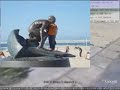 A Google Earth Walk on the Strand
