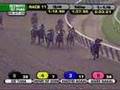 2008 Belmont Stakes