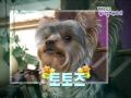도로시남 Dorothy NAM TOTOz 오즈의마법사 wizard of OZ