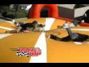 Race_to_the_Top.wmv