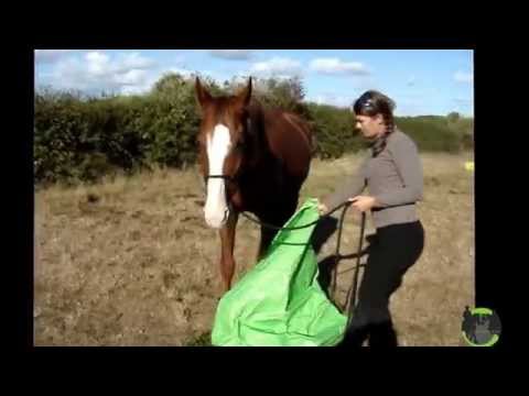 Les jeux de confiances en vidéo (désensibilisation avancée)