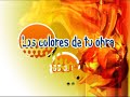los colores de tu obra