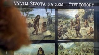 Zdeněk Burian a jeho mistrovství v mohelnickém muzeu