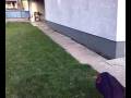 videos de sella..mp4