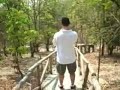 Family fun in Chiang Mai Thailand